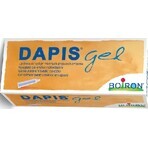 DAPIS 1×40 g gel DAPIS 1×40 g gel