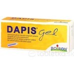 DAPIS 1×40 g gel