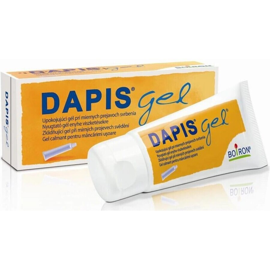 DAPIS 1×40 g gel