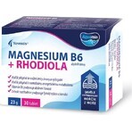 MAGNESIUM B6 + RHODIOLA 1×30 tbl, zeer absorbeerbaar magnesium uit de zee MAGNESIUM B6 + RHODIOLA 1×30 tbl, zeer absorbeerbaar magnesium uit de zee