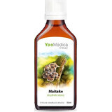 Yaomedica 032 Maitake 50ml 1×50 ml