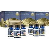 Inca Collagen Collagen 3 month collagen cure + C&D vitamin 1×1 set, nutritional supplement