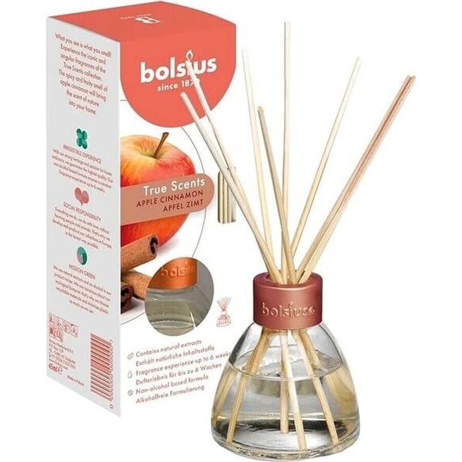 Bolsius Aromatic 2.0 Apfel-Zimt Diffusor, 1×45 ml Duftstäbchen, Heimduft