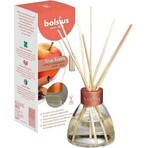 Bolsius Aromatic 2.0 Diffuseur de parfum pomme cannelle, 1×45 ml bâtonnets parfumés, parfum d'ambiance Bolsius Aromatic 2.0 Diffuseur de parfum pomme cannelle, 1×45 ml bâtonnets parfumés, parfum d'ambiance