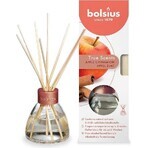 Bolsius Aromatic 2.0 Apfel-Zimt Diffusor, 1×45 ml Duftstäbchen, Heimduft