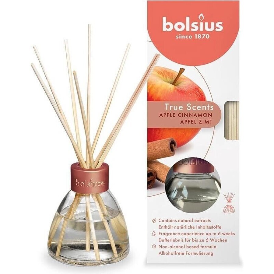 Bolsius Aromatic 2.0 Apfel-Zimt Diffusor, 1×45 ml Duftstäbchen, Heimduft