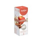 Bolsius Aromatic 2.0 Diffuseur de parfum pomme cannelle, 1×45 ml bâtonnets parfumés, parfum d'ambiance Bolsius Aromatic 2.0 Diffuseur de parfum pomme cannelle, 1×45 ml bâtonnets parfumés, parfum d'ambiance