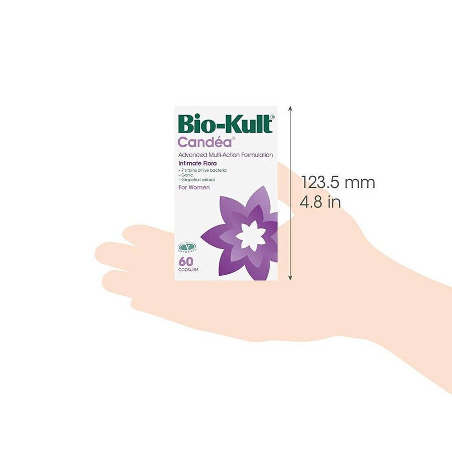 Bio-Kult Candea, 60 cápsulas, Protexin
