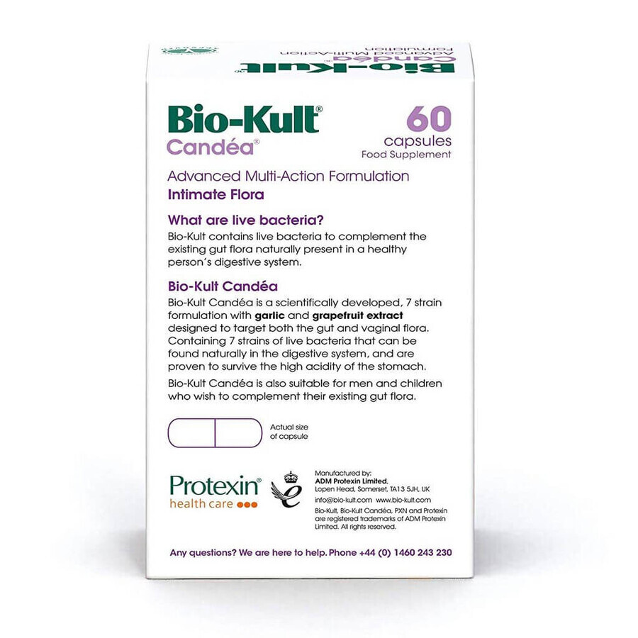 Bio-Kult Candea, 60 cápsulas, Protexin