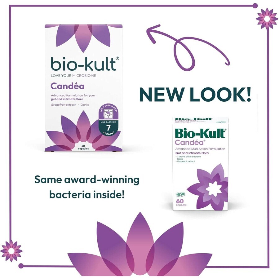 Bio-Kult Candea, 60 cápsulas, Protexin