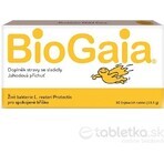 BioGaia ProTectis 1×10 stuks, kauwtabletten - aardbeiensmaak BioGaia ProTectis 1×10 stuks, kauwtabletten - aardbeiensmaak