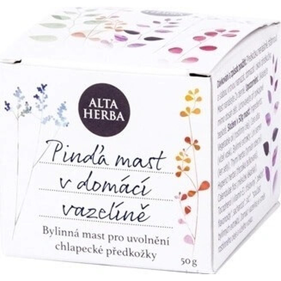 Boutique ALTA HERBA Pommade contre l'acné 1×50 g, pommade ALTA HERBA Pommade contre l'acné 1×50 g, pommade
