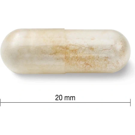 JAMIESON PROBIOTIC PROBIOTIC 30 BILLION 1×30 cps, mélange de cultures bactériennes