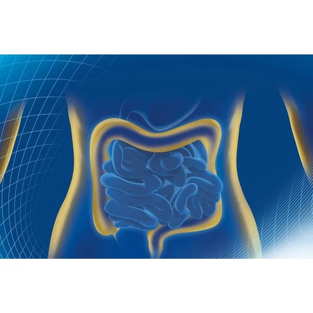 BIOPRON 9 Premium 1×40 cps, food supplement
