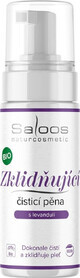 Saloos