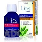Solution for canker sores 1×100 ml, solution for canker sores