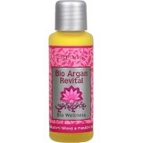 SALOOS Massage oil for skin and body ARGAN REVITAL ARGAN 1×50 ml oil