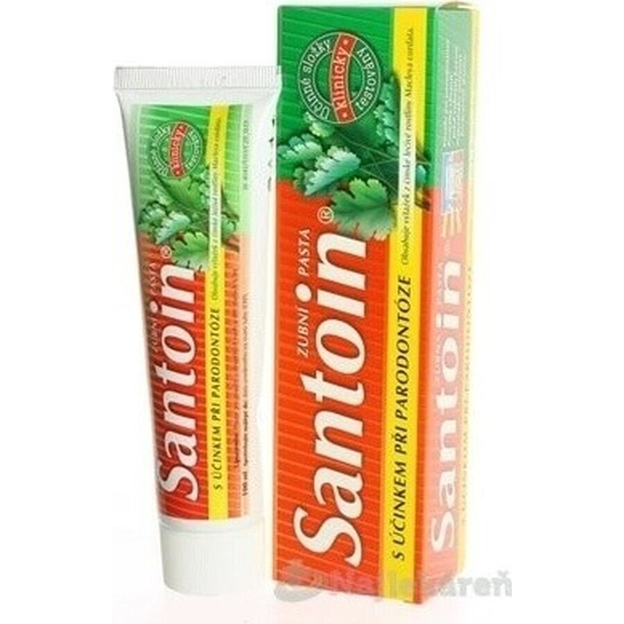 SANTOIN Toothpaste 1×100 ml, toothpaste