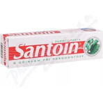 SANTOIN Toothpaste 1×100 ml, toothpaste