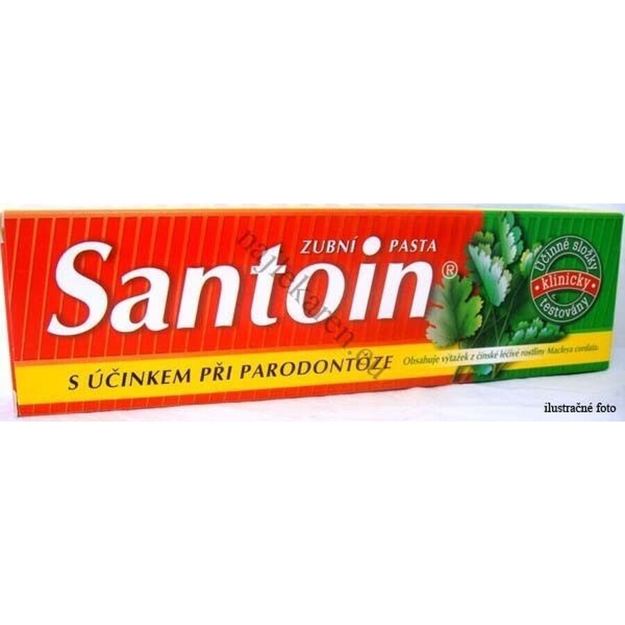 SANTOIN Toothpaste 1×100 ml, toothpaste