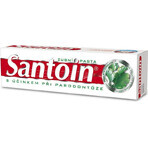 SANTOIN Toothpaste 1×100 ml, toothpaste