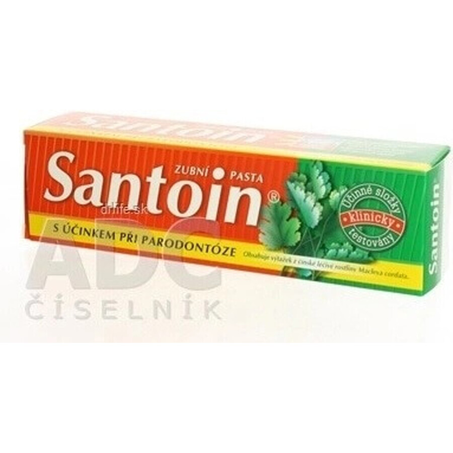 SANTOIN Toothpaste 1×100 ml, toothpaste