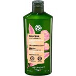 Yves Rocher Gentle Shampoo 1×300 ml shampoo Yves Rocher Gentle Shampoo 1×300 ml shampoo