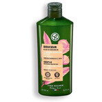 Yves Rocher Gentle Shampoo 1×300 ml shampoo Yves Rocher Gentle Shampoo 1×300 ml shampoo