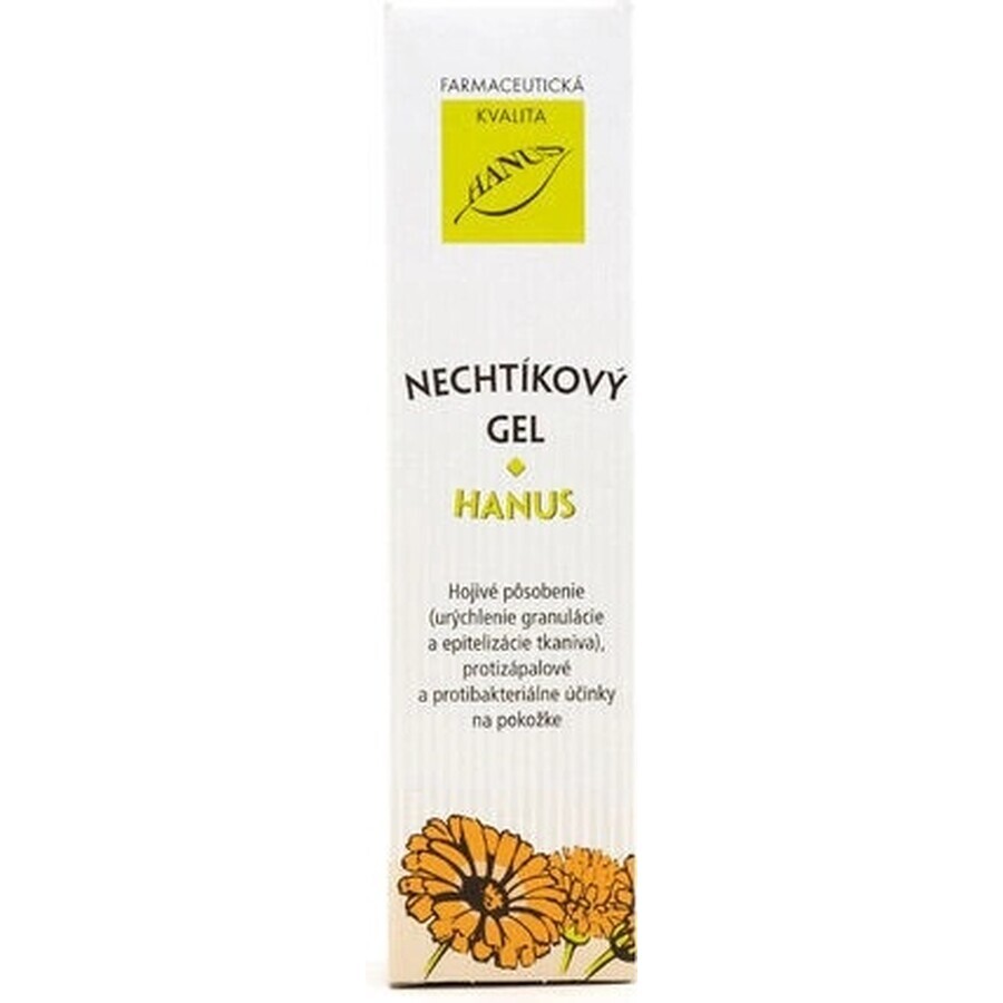 HANUS NECHTIK'S GEL 1×55 ml, healing gel