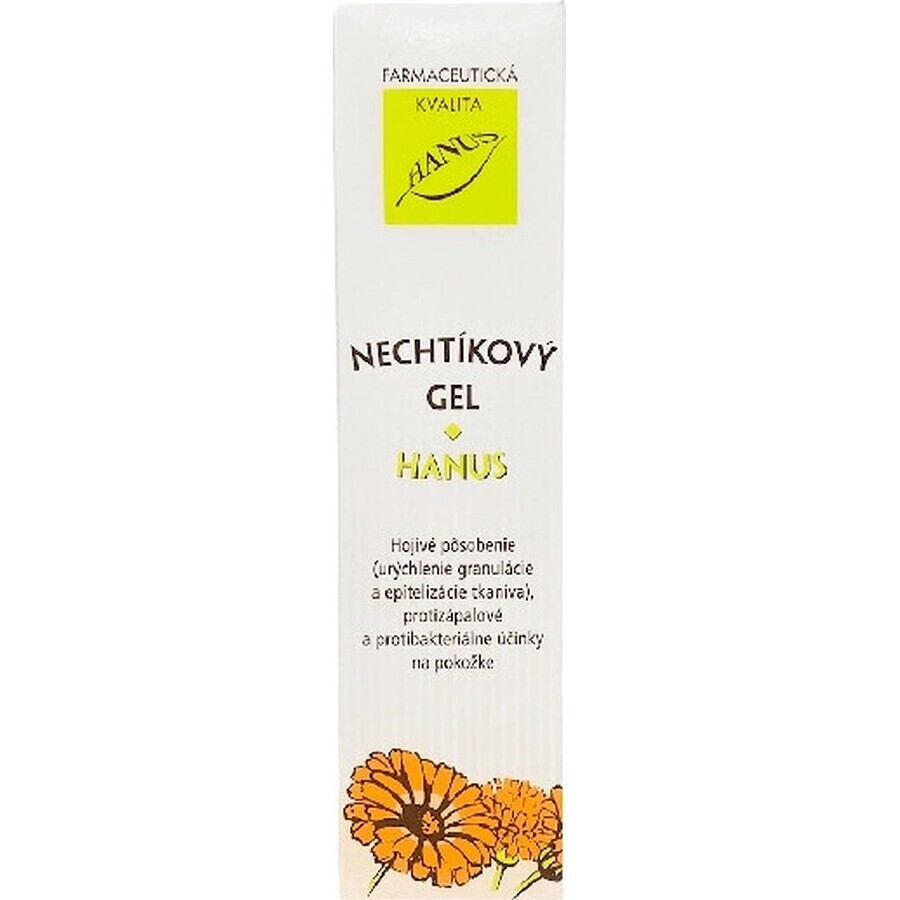 HANUS NECHTIK'S GEL 1×55 ml, healing gel