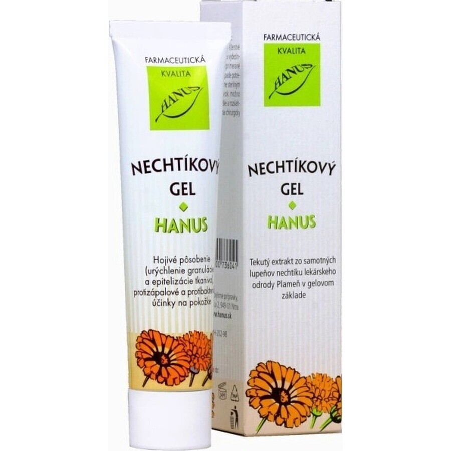 HANUS NECHTIK'S GEL 1×55 ml, healing gel