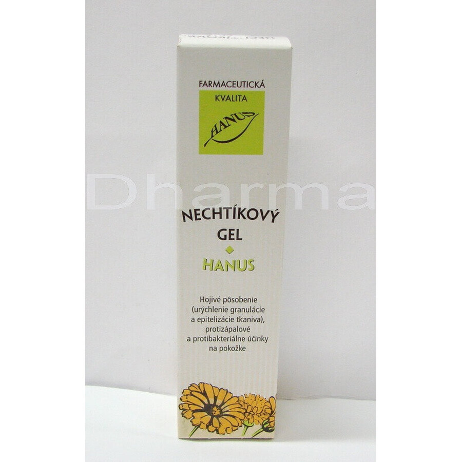HANUS NECHTIK'S GEL 1×55 ml, healing gel