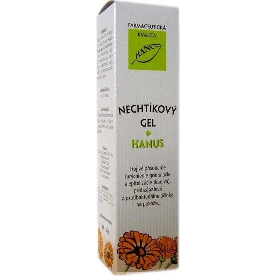 HANUS NECHTIK'S GEL 1×55 ml, healing gel