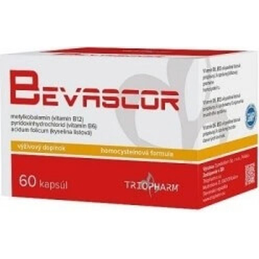 BEVASCOR 1×60 cps, supliment alimentar