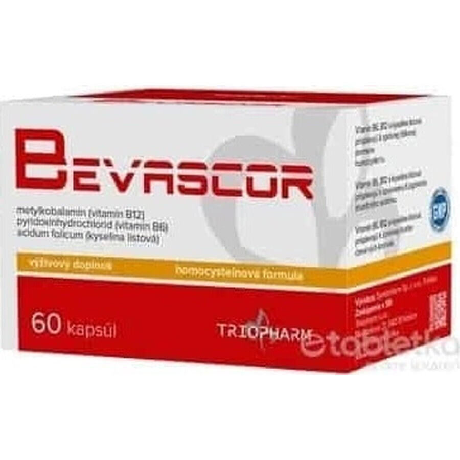 BEVASCOR 1×60 cps, supliment alimentar