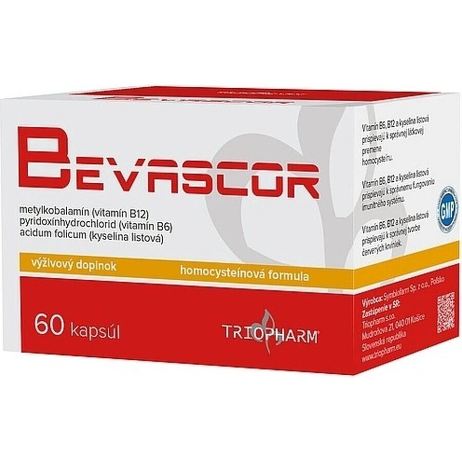 BEVASCOR 1×60 cps, supliment alimentar