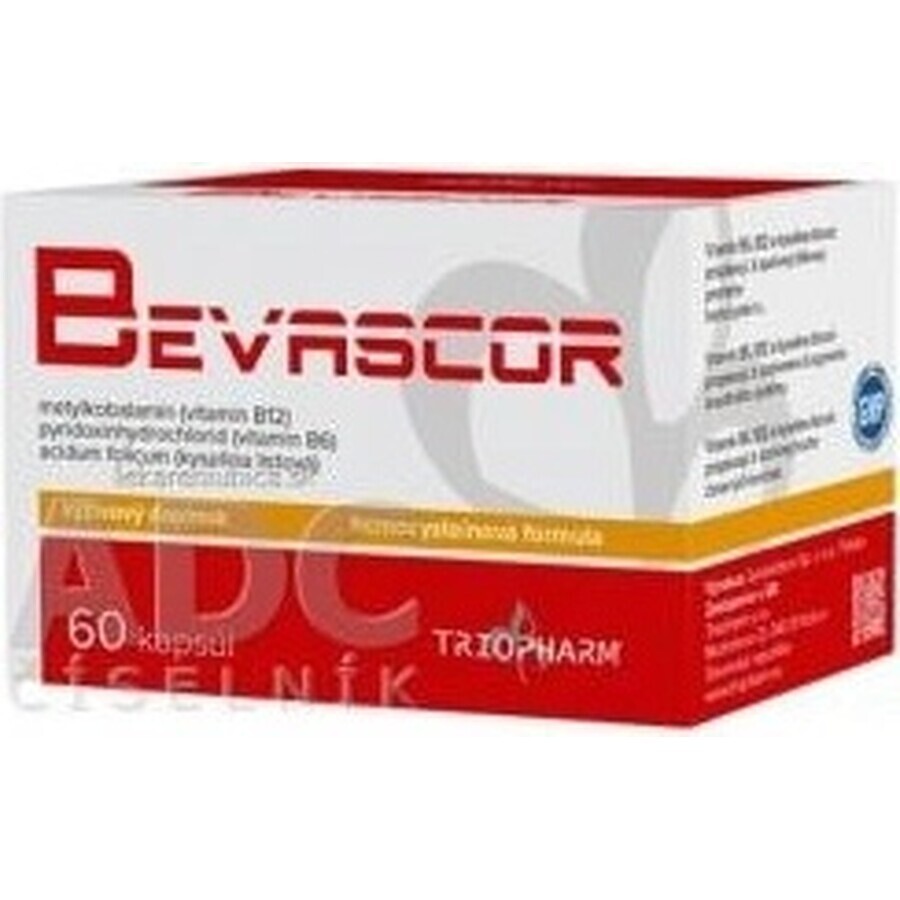 BEVASCOR 1×60 cps, supliment alimentar