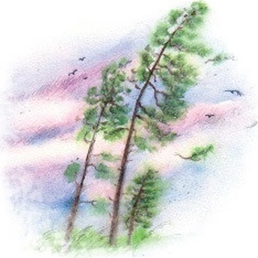 Yaomedica 091 Lifting the Wind 50ml 1×50 ml