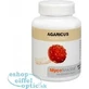 Mycomedica Agaricus 30% Vegan 500mg 90cps 1×90 cps