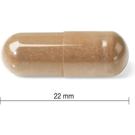 JAMIESON MUSHROOM COMPLEX 1×60 cps, complément alimentaire