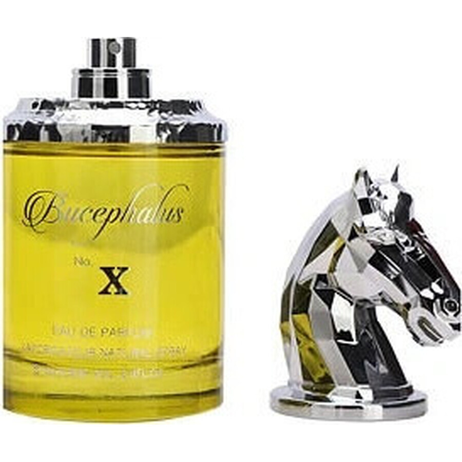 Buy Armaf Bucephalus Bucephalus No.Xedp 100ml 1×1pcs, eau de parfum Armaf Bucephalus Bucephalus No.Xedp 100ml 1×1pcs, eau de parfum