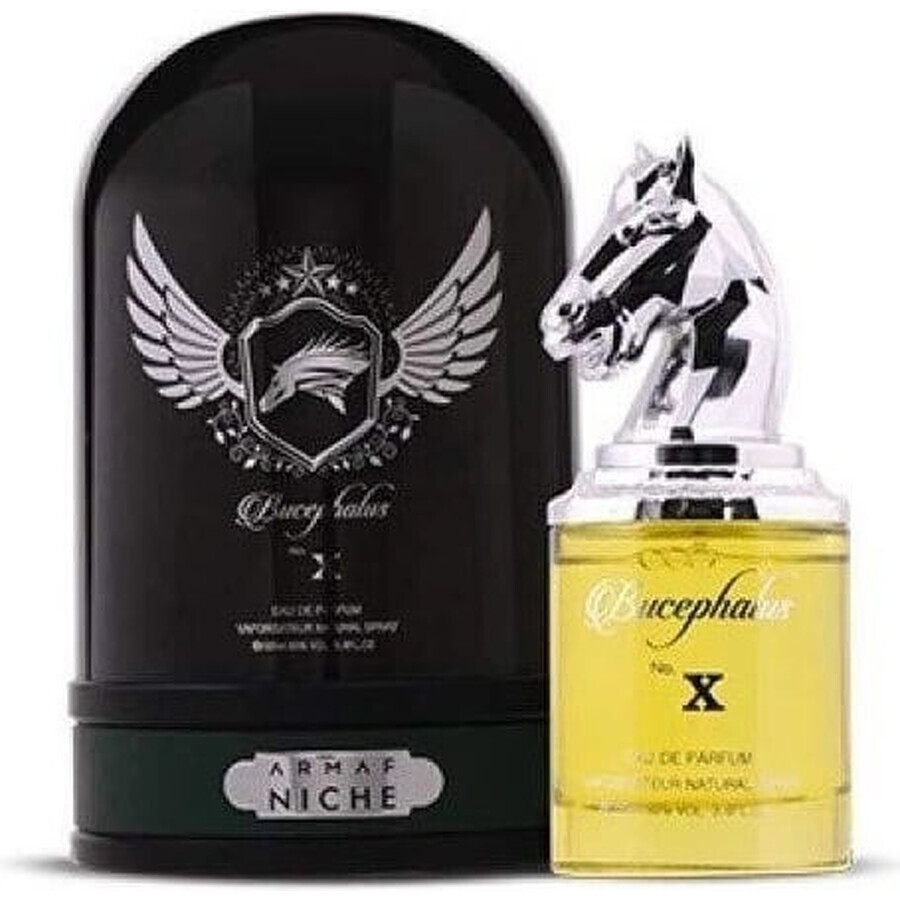 Armaf Bucephalus Bucephalus No.Xedp 100ml 1×1pcs, eau de parfum Armaf Bucephalus Bucephalus No.Xedp 100ml 1×1pcs, eau de parfum