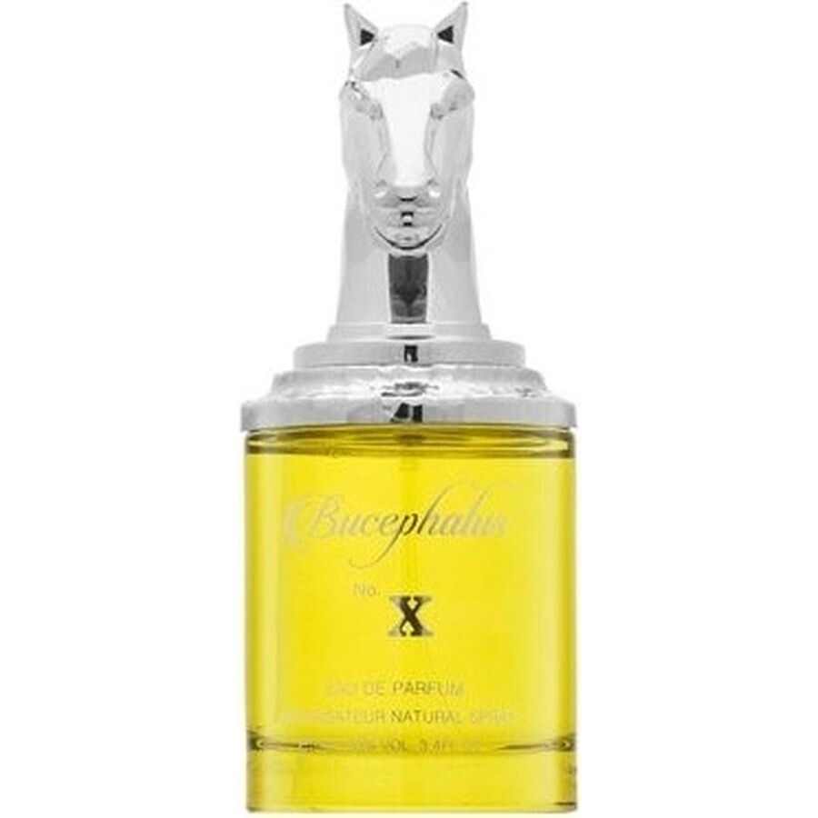Armaf Bucephalus Bucephalus No.Xedp 100ml 1×1pcs, eau de parfum Armaf Bucephalus Bucephalus No.Xedp 100ml 1×1pcs, eau de parfum