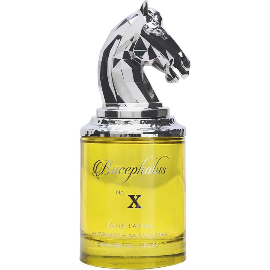 Armaf Bucephalus Bucephalus No.Xedp 100ml 1×1pcs, eau de parfum Armaf Bucephalus Bucephalus No.Xedp 100ml 1×1pcs, eau de parfum