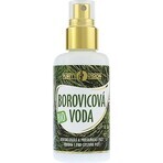 PURITY VISION Bio Pine Water 100 ml 1×100 ml, pine water