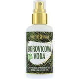 PURITY VISION Bio Apă de pin 100 ml 1×100 ml, apă de pin