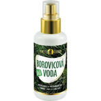 PURITY VISION Bio Pine Water 100 ml 1×100 ml, pine water