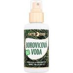 PURITY VISION Bio Pine Water 100 ml 1×100 ml, pine water