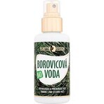 PURITY VISION Bio Pine Water 100 ml 1×100 ml, pine water