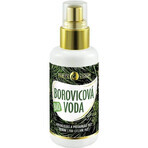 PURITY VISION Agua de Pino Bio 100 ml 1×100 ml PURITY VISION Agua de Pino Bio 100 ml 1×100 ml
